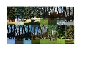 Open Air Morning Meditation