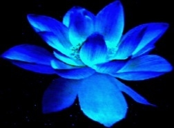 Blue Throat Yoga Meditation