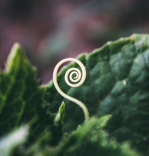 Awakening Out Of Thought