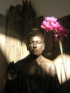 Oslo Buddhistsenter - Triratna Norway