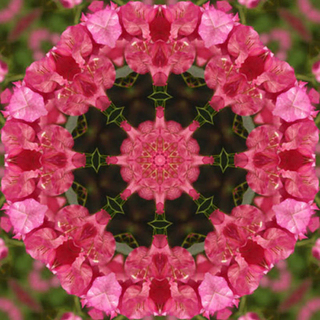 Sonic Yogi Sound Bath Meditations