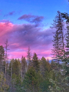 Phases of Meditation 