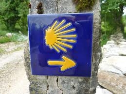 Recovery Camino Pilgrimage