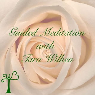 3rd Thursday Live Guided Meditation in the Twin Cities