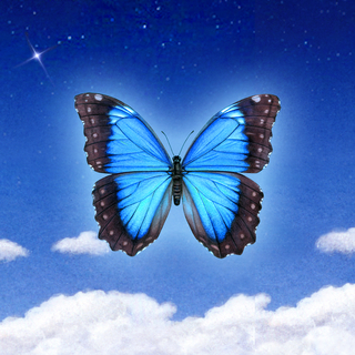 Healing & Hope Through Music