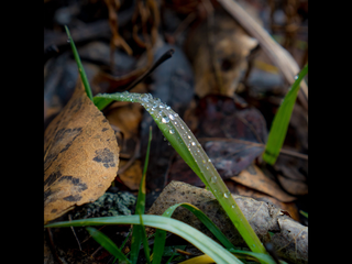Contemplative Meditation_A Moment in Silence