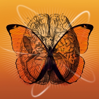 Dr.  Joe Dispenza Meditation 