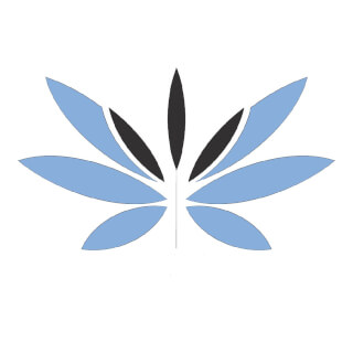 Mindfulness y psicologia Valencia