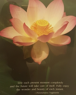 Daily Meditation for a Month