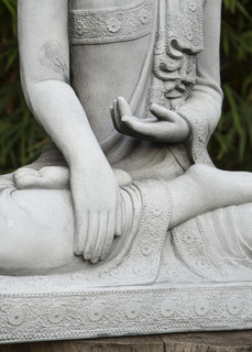 A Mindful Life