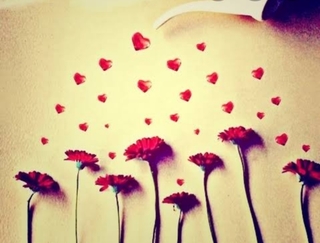 Oficina dos Sentimentos 