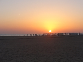 Daily Meditation Challenge