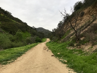 Working With Dissociation