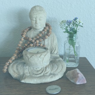 Ventura Meditation Squad